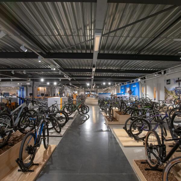 12Go Biking Fietsenwinkel en e-bike test center